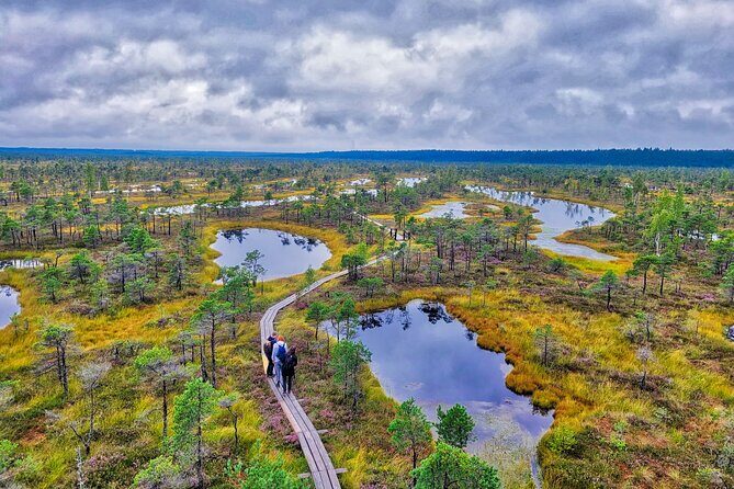 From Riga: Best of Kemeri National Park In One Day - Key highlights worth marking on your map