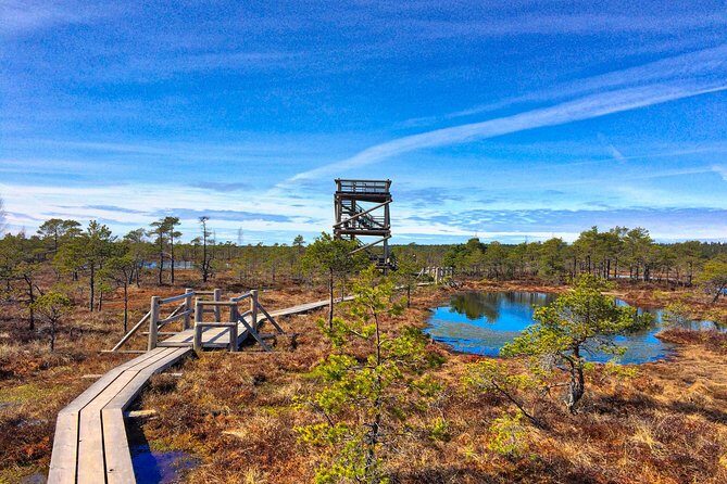 From Riga: Best of Kemeri National Park In One Day - Why Kemeri Works as a One-Day Escape From Riga