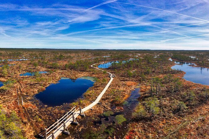 From Riga: Best of Kemeri National Park In One Day - Lake Kaņieris Bird Watching Tower: A View Stop That Feels Like a Breather