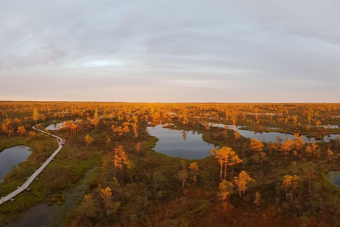 From Riga: Best of Kemeri National Park In One Day - Ragaciems Beach and Coastal Pine Forest: Gulf of Riga Air at Day’s End