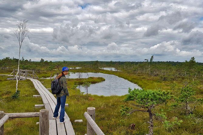 From Riga: Best of Kemeri National Park In One Day - The Eco-Tour Leader and the Improv-Travel Style That Keeps It Human