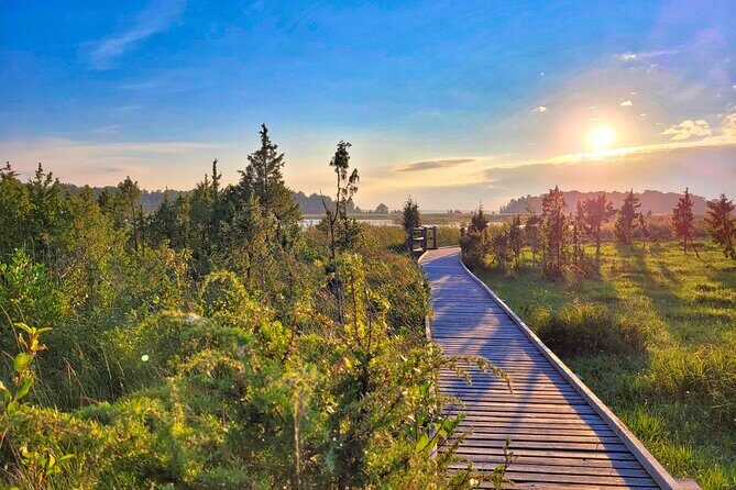 From Riga: Best of Kemeri National Park In One Day - What to Pack and How to Make the Most of the Timing