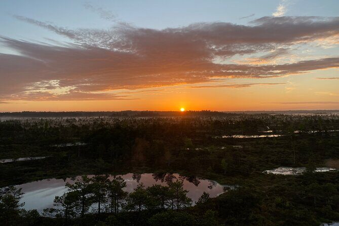 From Riga: Kemeri Bog Boardwalk and Jurmala Seaside - Key things that make this tour worth your time