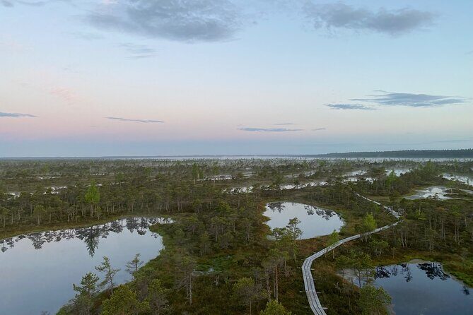 From Riga: Kemeri Bog Boardwalk and Jurmala Seaside - From Bog Boardwalk to Baltic Beach: What This Day Really Delivers