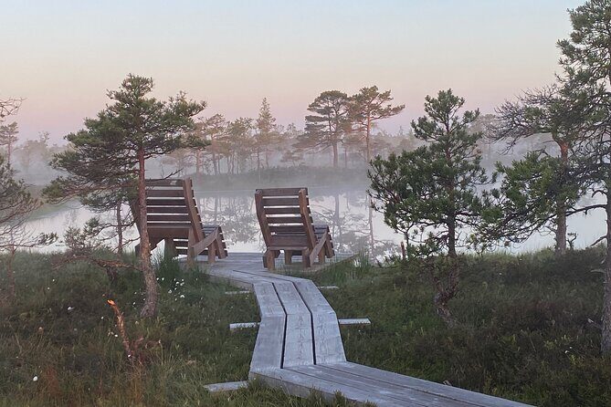 From Riga: Kemeri Bog Boardwalk and Jurmala Seaside - Jūrmala in One Walkable Hit: Wooden Cottages, Jomas iela, and Dzintari Views