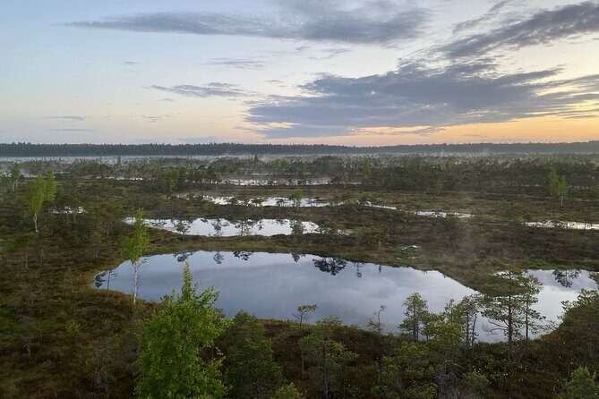 From Riga: Kemeri Bog Boardwalk and Jurmala Seaside - Price and Logistics That Actually Matter for Real Days