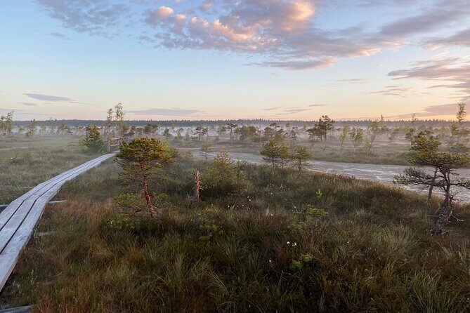 From Riga: Kemeri Bog Boardwalk and Jurmala Seaside - Who This Tour Suits Best (and Who Might Want Something Different)