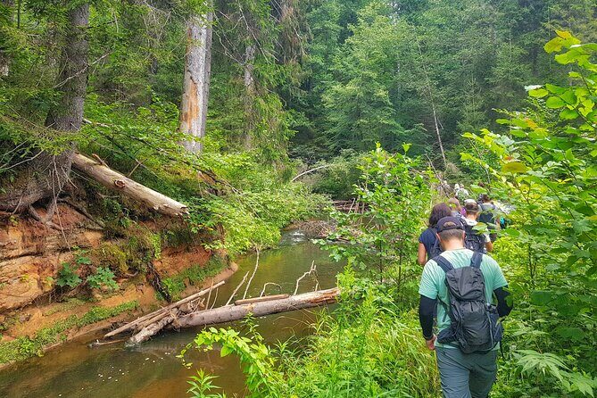 Full Day Gauja National Park Ultimate Hiking & Sightseeing Trip - Key highlights you’ll remember