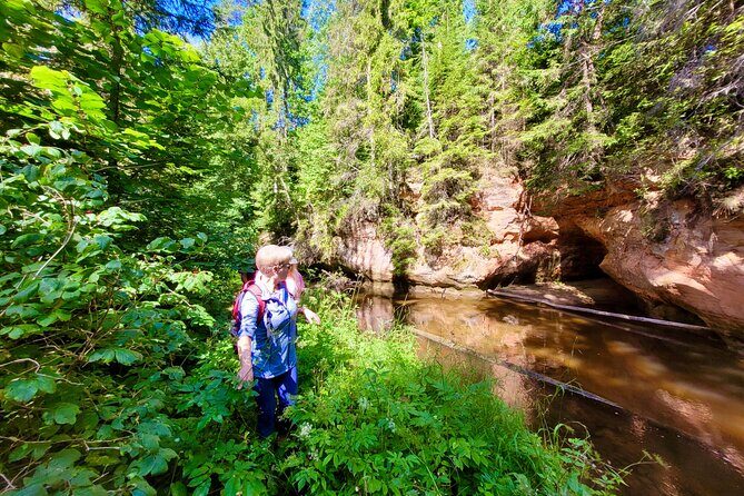 Full Day Gauja National Park Ultimate Hiking & Sightseeing Trip - Lunch in the woods: pick-nick style fuel that keeps the afternoon enjoyable