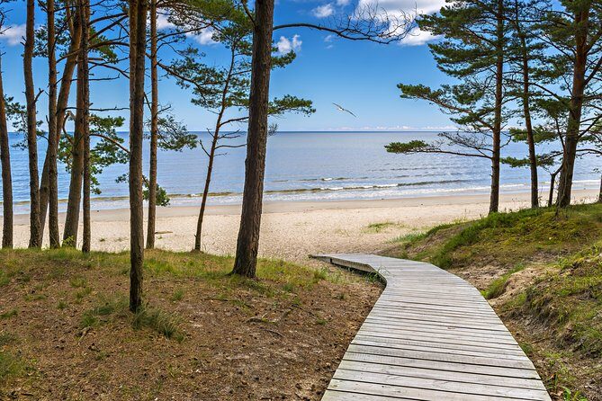Full-Day Private Trip to Jurmala, Fisherman Villages and Nature Trails from Riga - The ARHIS Observation Tower: a nature view with screens, not crowds