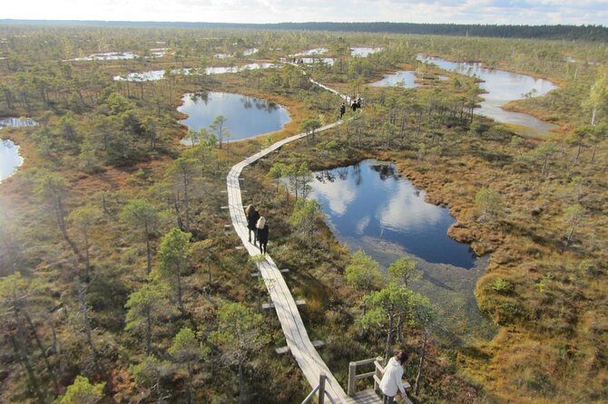Full-Day Private Trip to Jurmala, Fisherman Villages and Nature Trails from Riga - Ķemeri National Park: the 3 km raised moss marsh walk
