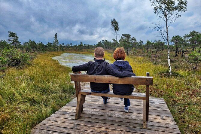 Great Ķemeri Bog and Swamp Forest Hiking Adventure - Key highlights you’ll care about