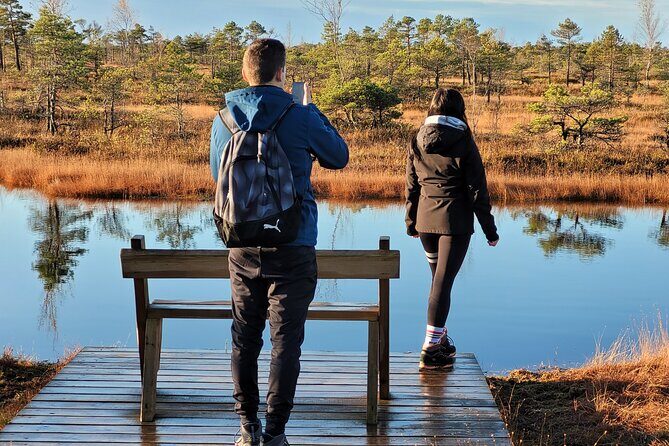 Great Ķemeri Bog and Swamp Forest Hiking Adventure - Why Great Ķemeri Bog feels like a real change of pace from Riga