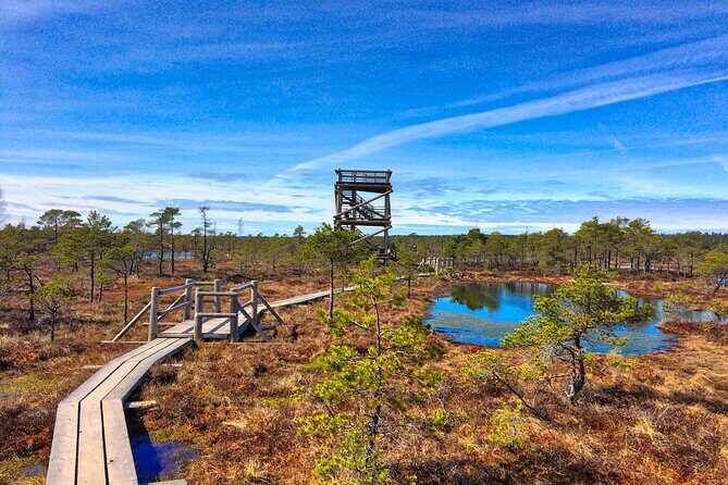 Great Ķemeri Bog and Swamp Forest Hiking Adventure - Timing, weather, and why April–May or late September can pay off