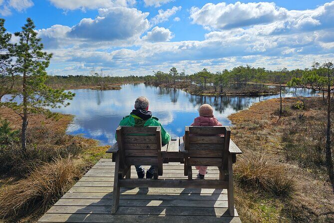 Great Ķemeri Bog and Swamp Forest Hiking Adventure - Rolands and the feel of a small-group nature hike