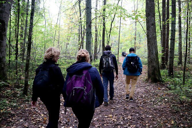 Hike In Gauja National Park - Up And Down The Switzerland Of Latvia - What You’ll See: River Walks, Bridges, Caves, and Sandstone Marks