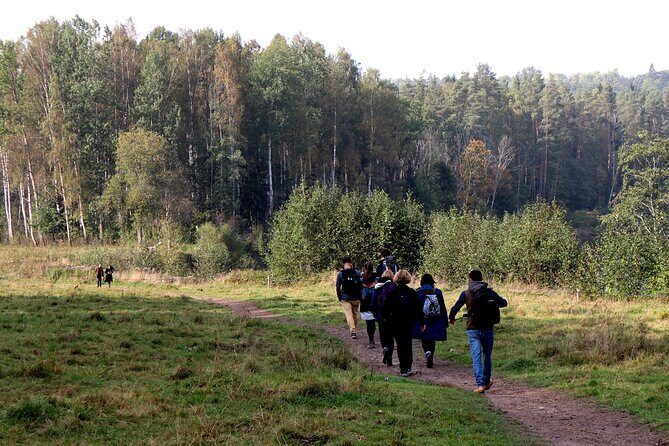 Hike In Gauja National Park - Up And Down The Switzerland Of Latvia - Pace, Fitness, and What to Pack for a 15 km Day