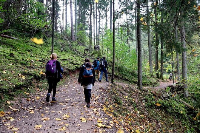 Hike In Gauja National Park - Up And Down The Switzerland Of Latvia - The Morning Plan: Pickup, Transport, and a 9:00 Start
