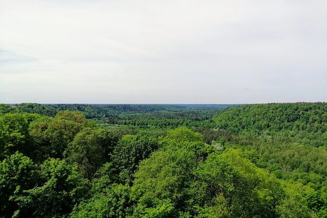 Hiking in Gauja National Park - Guides that set the tone: friendly, communicative, and pace-aware