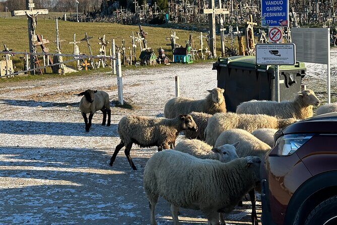 Hill of Crosses and Jelgava Gems Tour - 2 countries in 1 day - The Guide Factor: When Commentary Changes the Day
