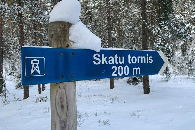 Husky dog sled/bike kart ride in Latvia ~ 3h group tour from Riga - The 3 km Run Through Ogres Zilie Kalni: Speed, Duration, and What It Feels Like