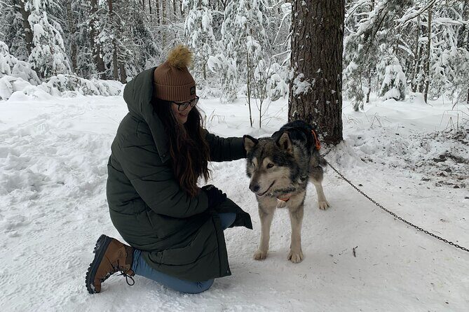Husky dog sled/bike kart ride in Latvia ~ 3h group tour from Riga - What to Wear: The Cold-Weather Checklist That Actually Works