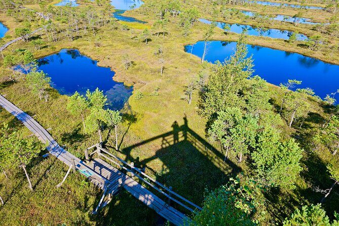Ķemeri Great Bog Discovery With Optional Sunrise & Jūrmala Visit - Quick hits: what makes this tour worth your morning