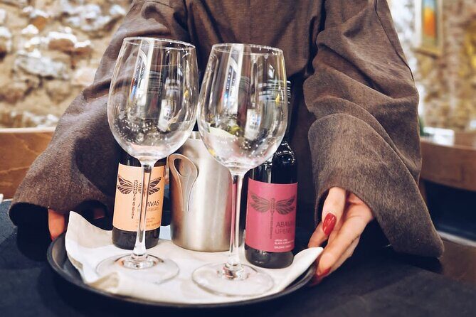 Latvian Wine Adventure: Discovering the Best of Baltic Wines - Who Should Book This Riga Wine Adventure