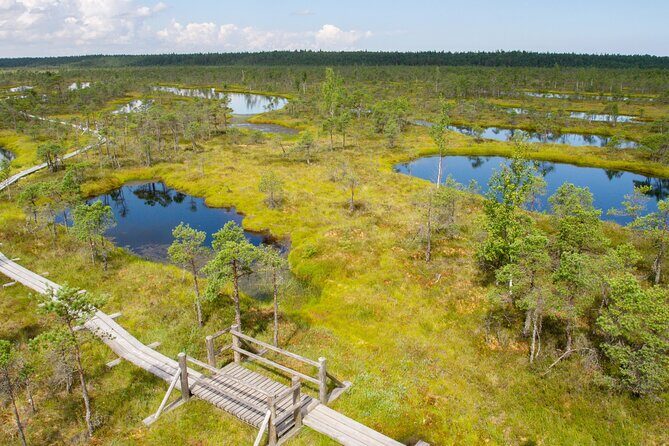 Private Full-Day Trip to Jurmala and Great Kemeri Bog Boardwalk - How the Timing Works Over 7 Hours (Without Feeling Rushed)