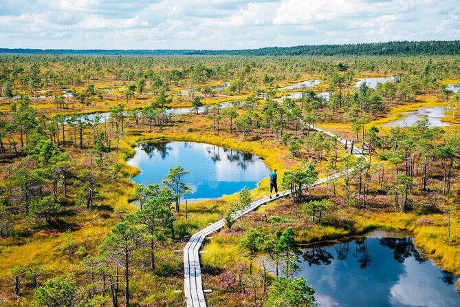 Private Full-Day Trip to Jurmala and Great Kemeri Bog Boardwalk - Jurmala on Foot: Pedestrian Streets and Baltic Sand Time