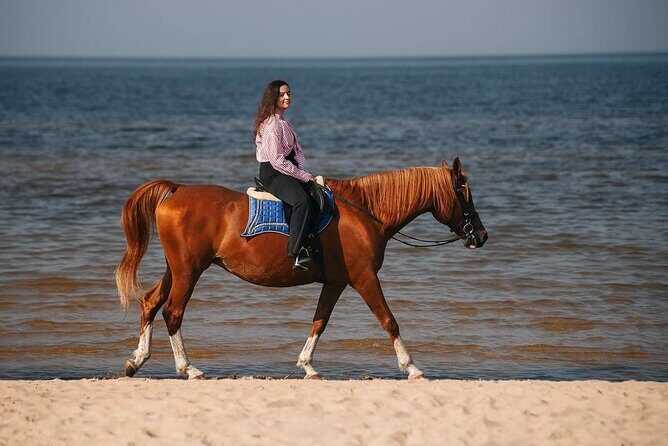 Private Horse Riding on the Beach in Riga - Key things that make this Riga horse ride worth it