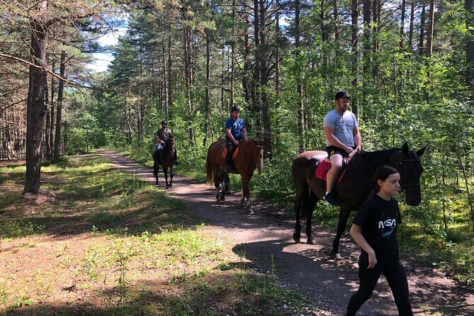 Private Horse Riding on the Beach in Riga - Private beach riding in Riga: what you’re really buying