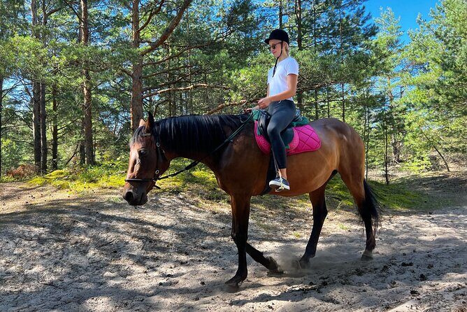 Private Horse Riding on the Beach in Riga - Riding through Latvian nature: forest and sand dunes at your pace