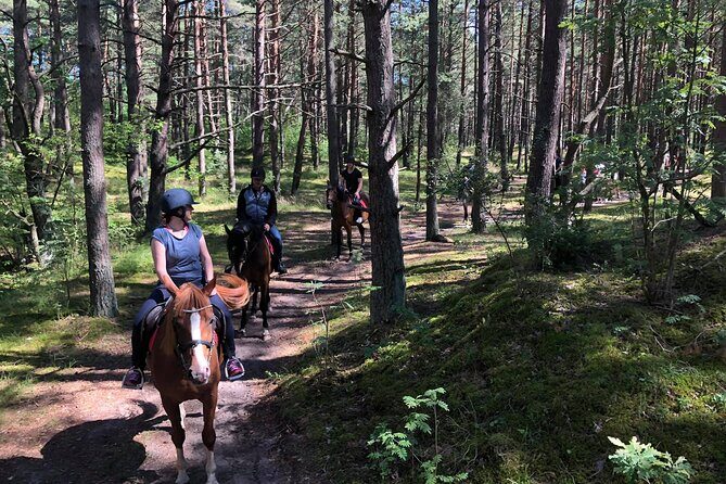 Private Horse Riding on the Beach in Riga - Price and value: is $150.63 per person a good deal?