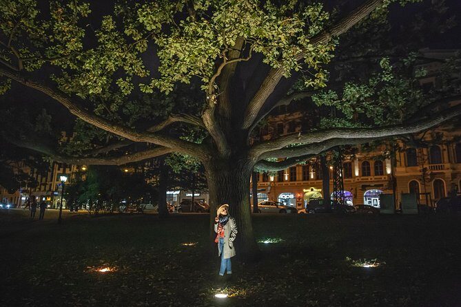 Riga at Night Photoshoot Tour - Who should book this Riga night photoshoot?
