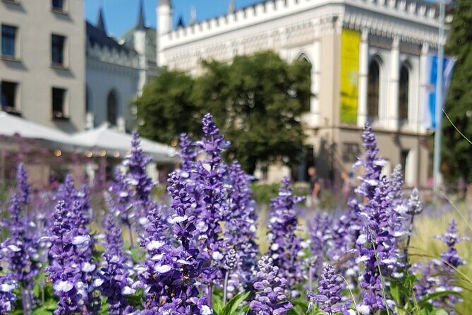 Riga Sightseeing Tour for First Time Visitors - Stop 4: Riga Central Market, food finds and local product hunting