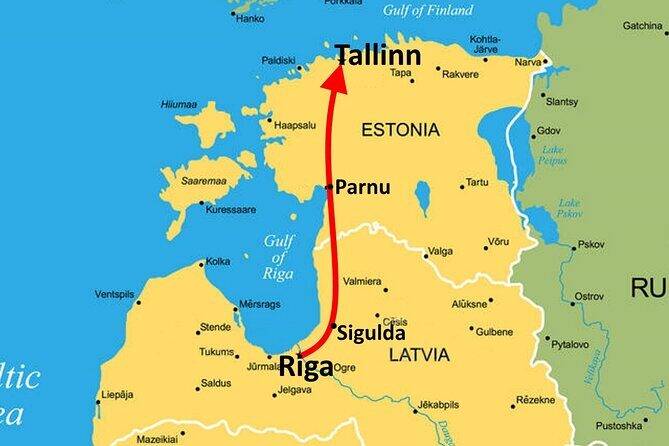 Riga to Tallinn - Sightseeing transfer - Pickup Timing, Vehicle Comfort, and How the Day Runs