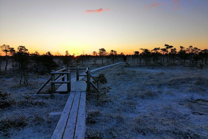 Sunrise at Kemeri National park + Jurmala - Quick takeaways before you go