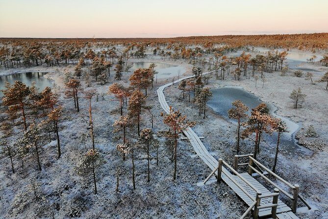 Sunrise at Kemeri National park + Jurmala - Sunrise at Kemeri: bog quiet, watchtower views, and real early-morning calm
