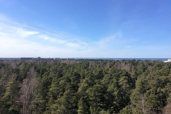 Sunrise at Kemeri National park + Jurmala - Price and value: when $131.81 really makes sense