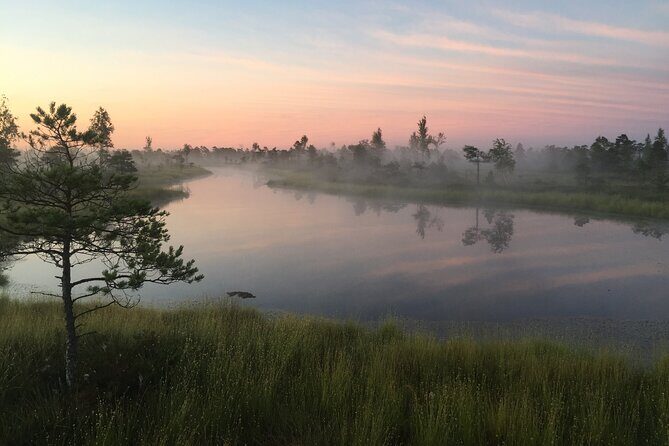 Sunrise at Kemeri National Park - Small Group - What happens on the boardwalk walk: 90 minutes of bog and forest