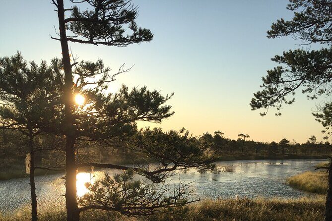 Sunrise at Kemeri National Park - Small Group - Price and value: is $57.67 per person a fair deal?