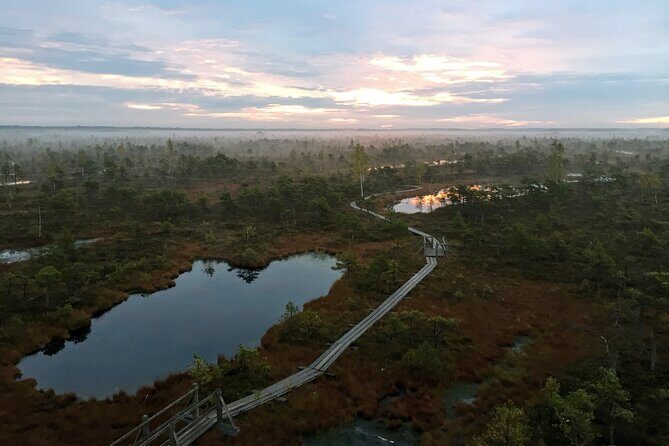 Sunrise at Kemeri National Park - Small Group - Who should book this Kemeri sunrise tour from Riga?