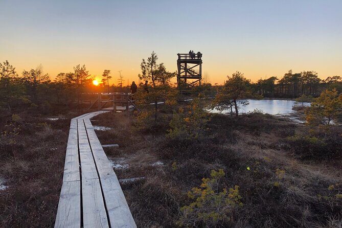 Sunset at Kemeri National Park - Key highlights and what to expect