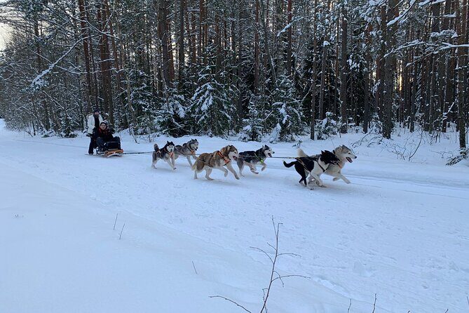 Ultimate Husky dog sledding experience in Latvia - Private tour from Riga - Pickup From Riga: Easy Escape Time, Not a Full-Day Operation