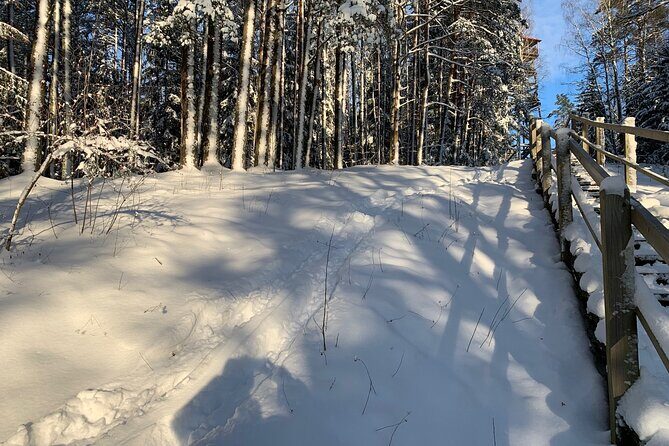 Ultimate Husky dog sledding experience in Latvia - Private tour from Riga - The Watchtower Stop: Views While the Day Stays Calm