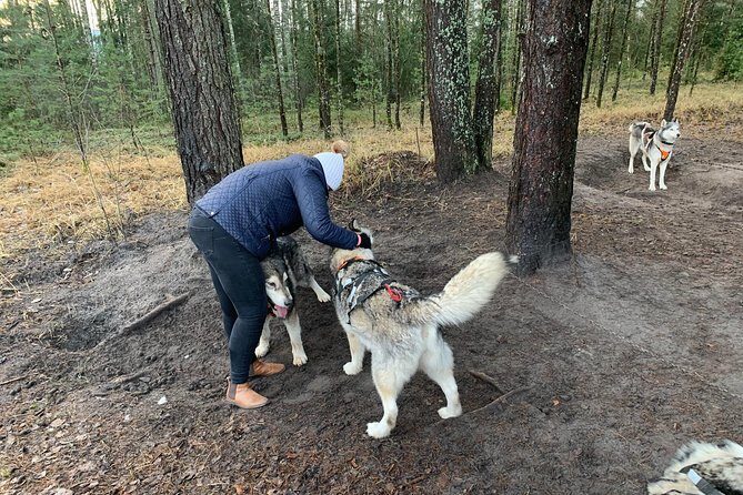Ultimate Husky dog sledding experience in Latvia - Private tour from Riga - Comfort, Warmth, and the Winter Clothing Question