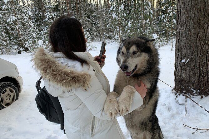 Ultimate Husky dog sledding experience in Latvia - Private tour from Riga - Price and Value: Where the Money Goes in This Private Tour